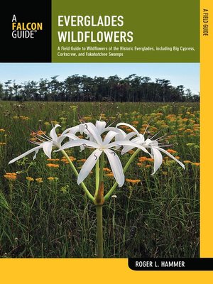 Everglades Wildflowers - ebook